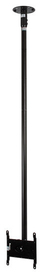 BTEMON358