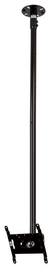 BTEMON362