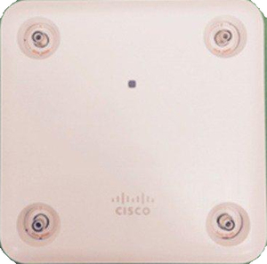 CISNET3D9