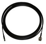 CISNET599