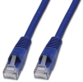 INTNET806