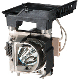 NECMON07F