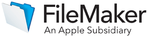 FILSFT411