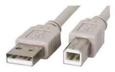 ZEBNET131